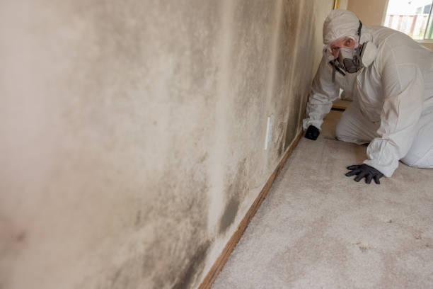 Best Post-Remediation Verification Testing  in Iron Mountain, MI